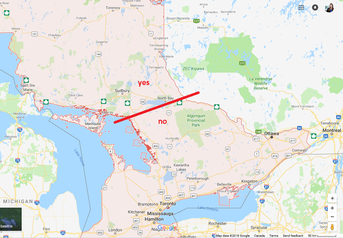 Silvrback blog image