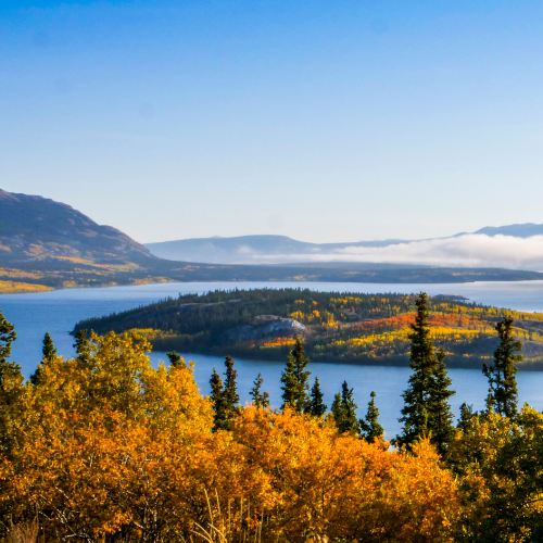 Photo of an island in a river in the Yukon, Canada