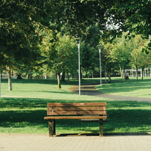 Photo of a park bench